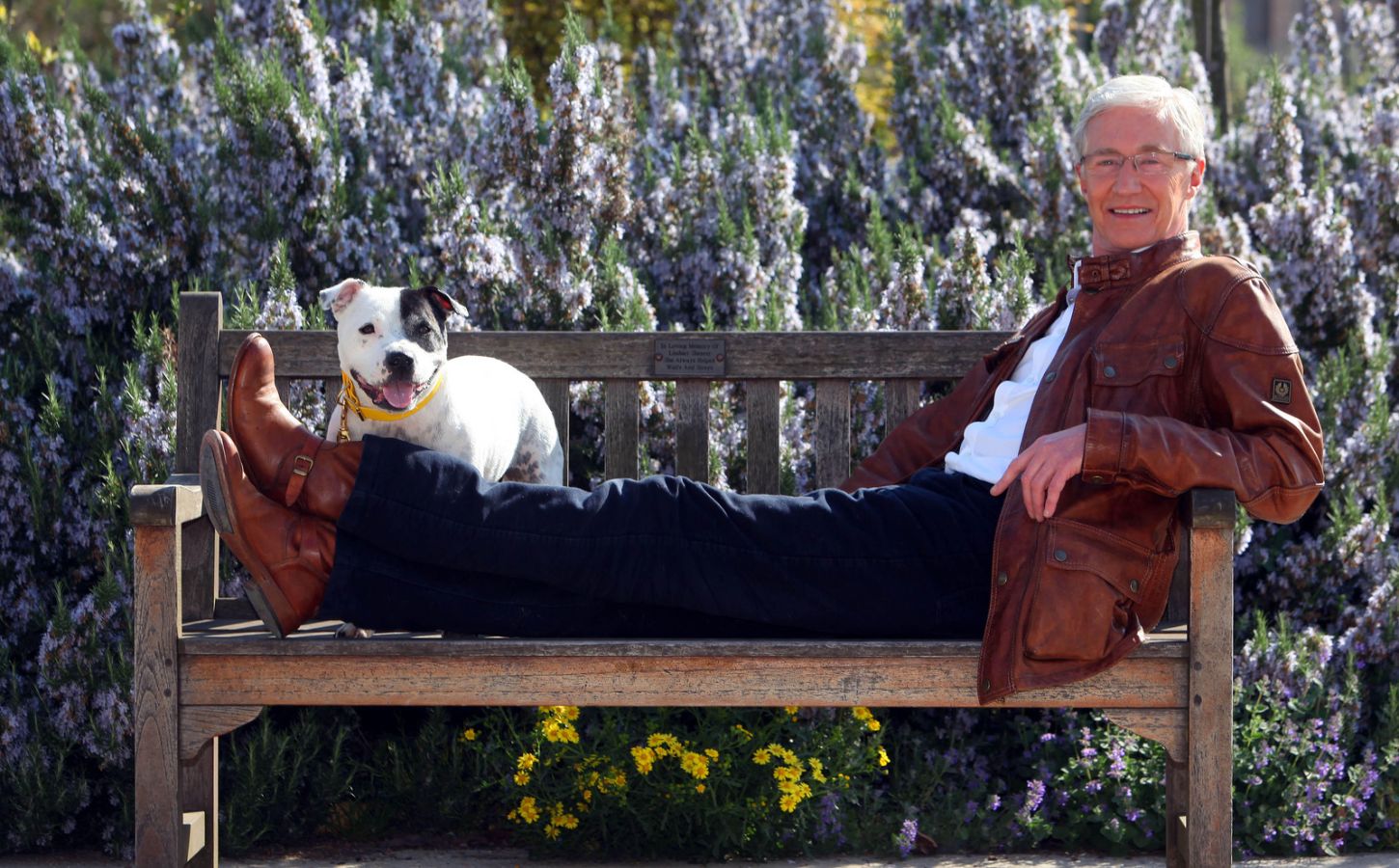 Late entertainer Paul O'Grady reclining on a wooden bench with a Staffordshire Bull Terrier for company