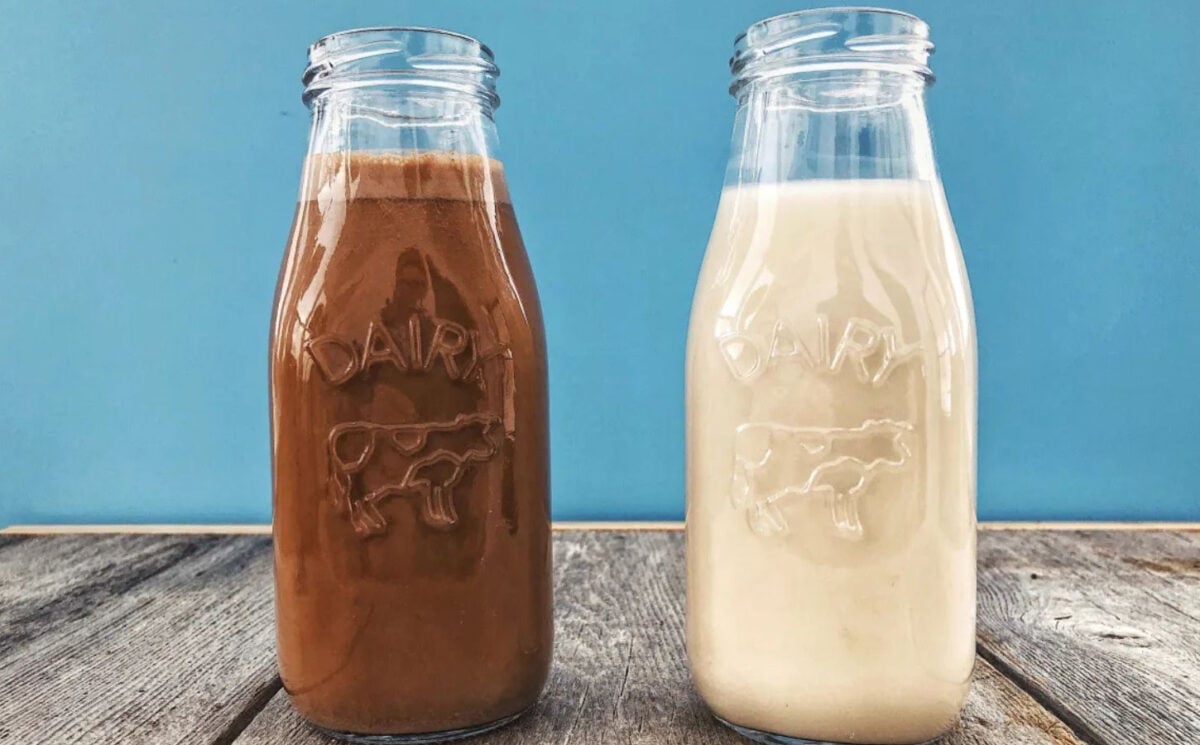 creamy homemade oat milk, vegan milk alternative, plant based milk plain and chocolate