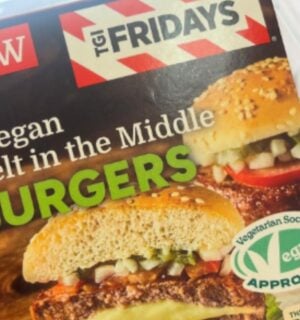 A vegan melt in the middle vegan cheeseburger from TGI Fridays