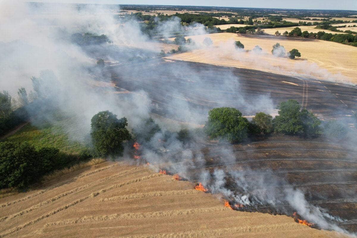 Photo shows a wildfire in Ongar, Essex, that destroyed about 20 acres and damaged a pub